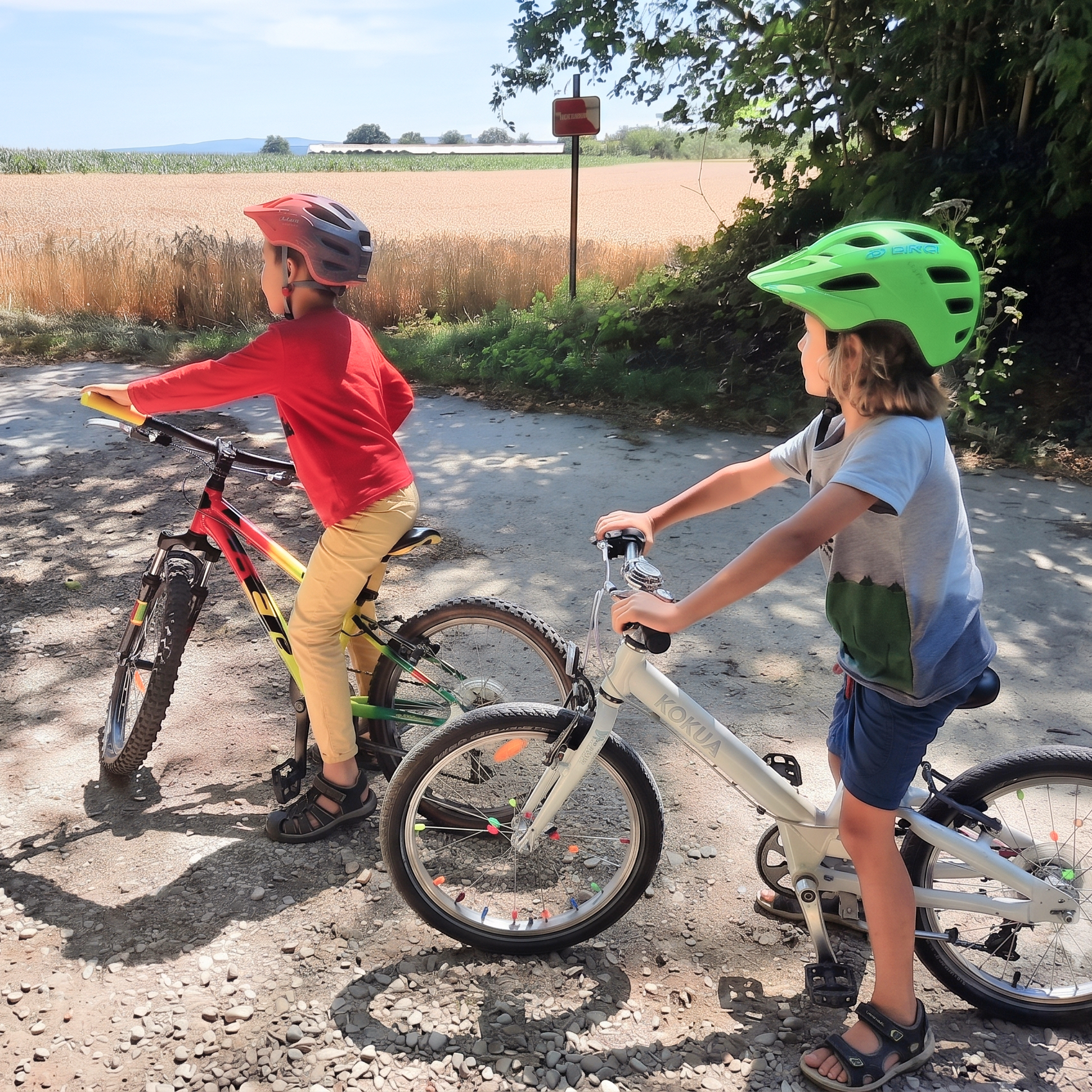 Bike ride in Schönenbuch