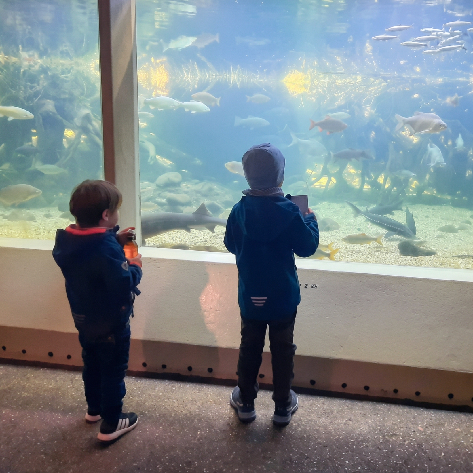 Excursion to Zoo Basel